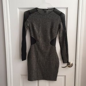 Express Sparkly Mesh Bodycon Dress
